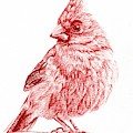 Cardinal II
