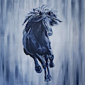 Indigo Wildling