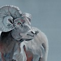 Slate Blue Ram 