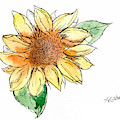 Sunflower Study 
